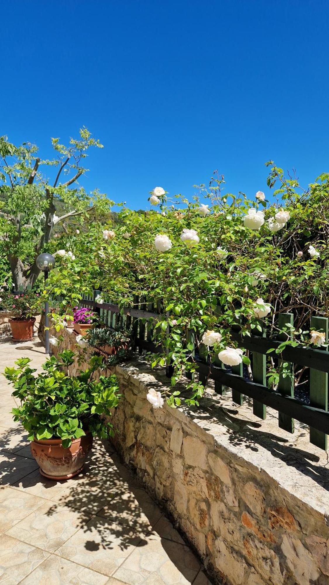 Villa Trullo Grande Noce à Ostuni Extérieur photo